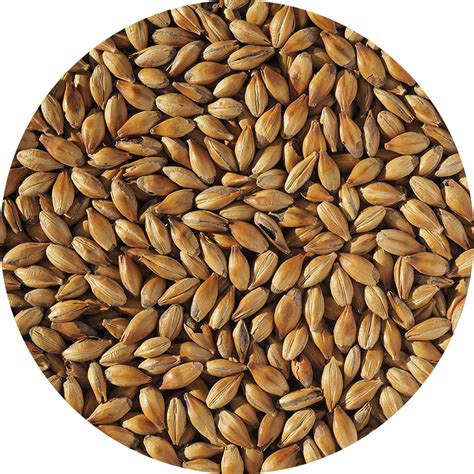 light crystal malt